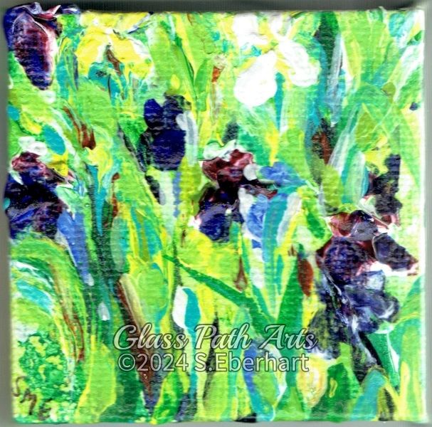 Iris Patch - Original Acrylic Miniature Painting by Sophia Eberhart