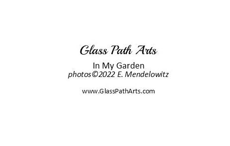 Garden Flowers Greeting Cards