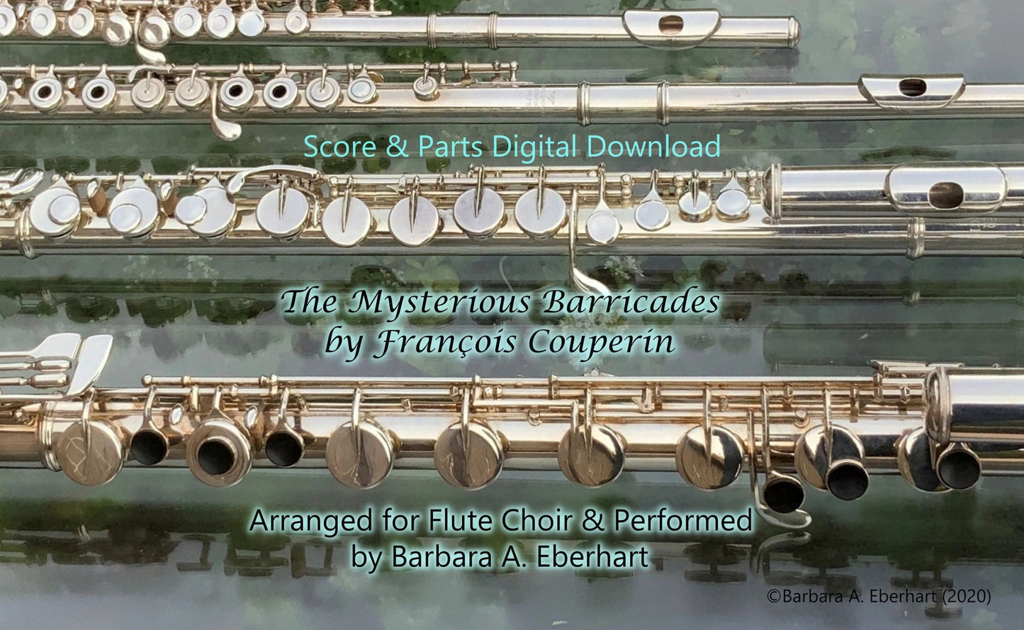 The Mysterious Barricades for Flute Choir - Sheet Music digital download