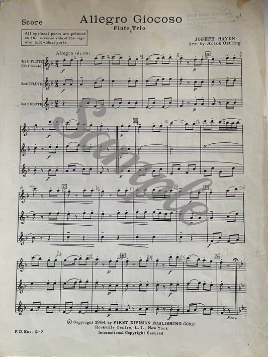 Allegro Giocoso for Flute Trio by Joseph Haydn