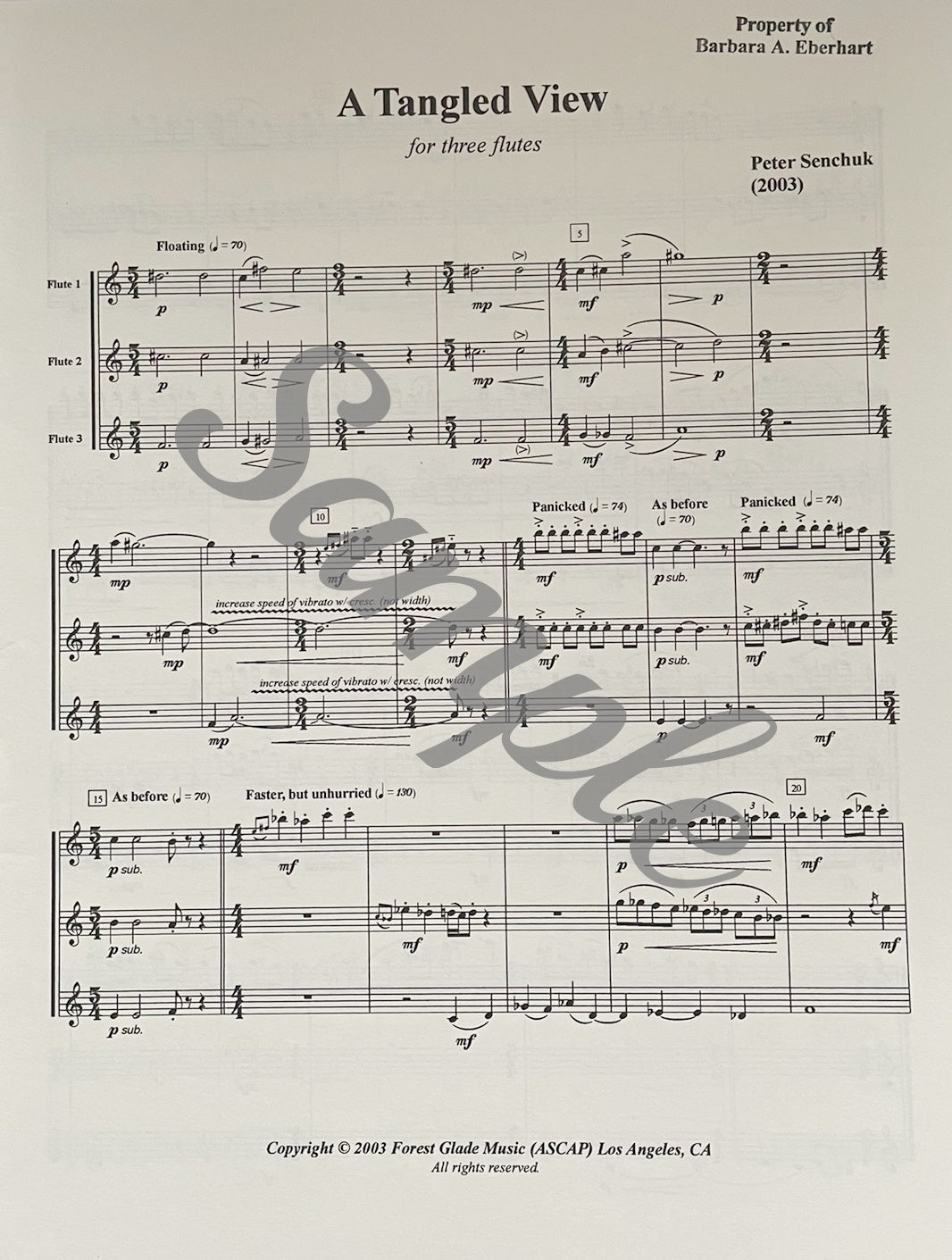 A Tangled View for Three Flutes by Peter Senchuk