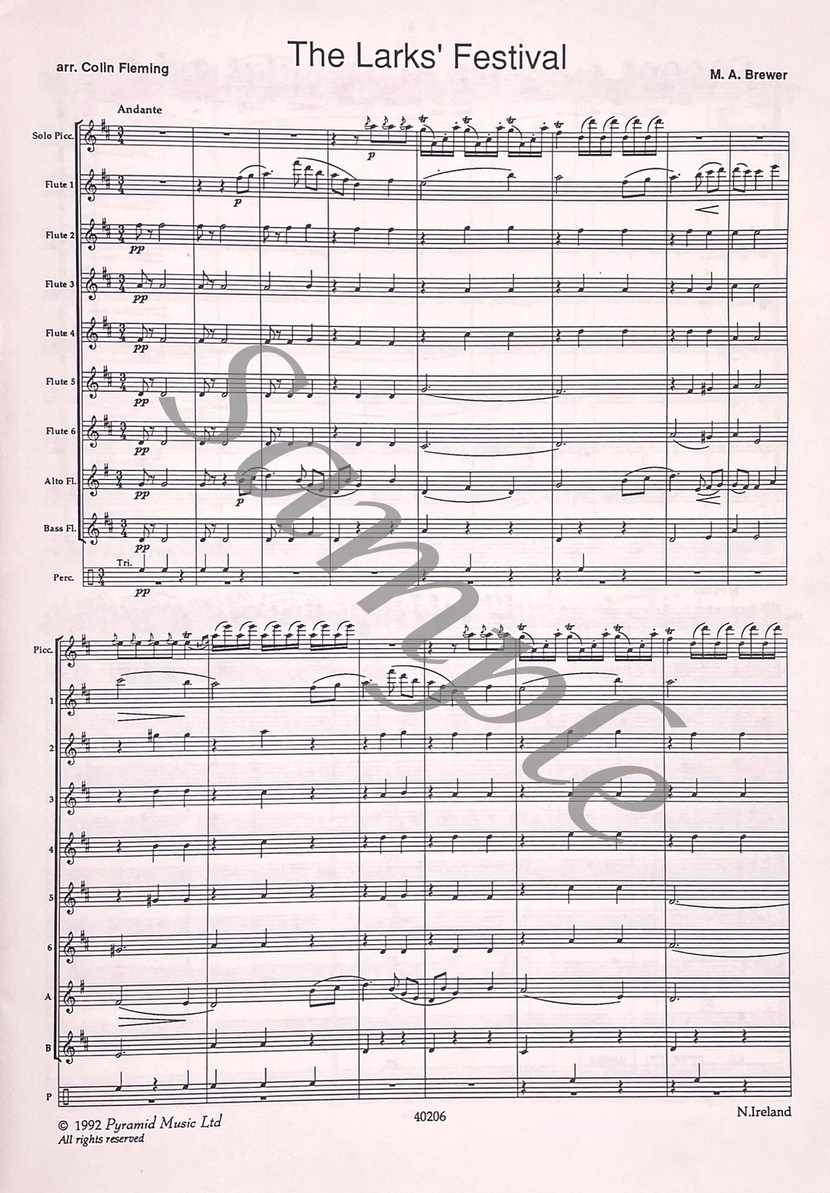 The Larks' Festival for Solo Piccolo and Flute Choir by Mark Brewer