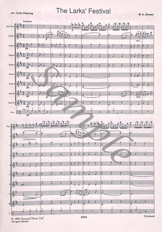 The Larks' Festival for Solo Piccolo and Flute Choir by Mark Brewer