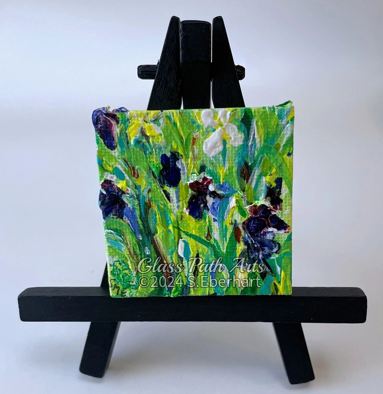 Iris Patch - Original Acrylic Miniature Painting by Sophia Eberhart