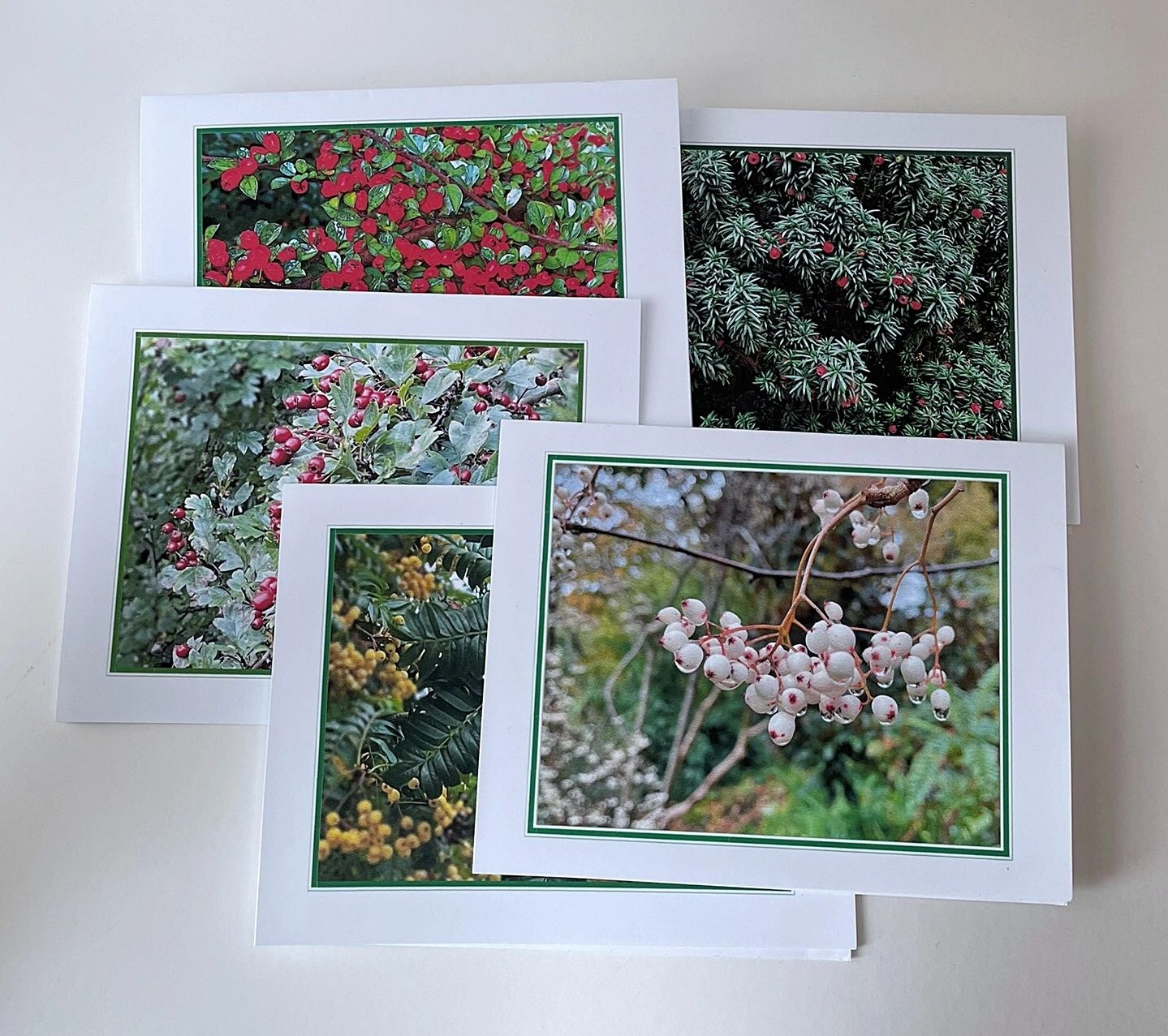 Edinburgh Royal Botanic Garden Greeting Cards