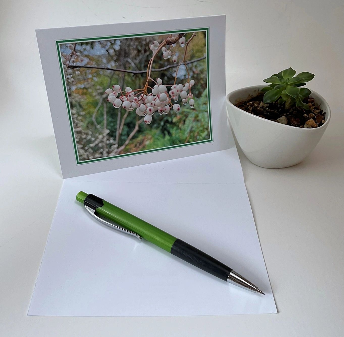 Edinburgh Royal Botanic Garden Greeting Cards