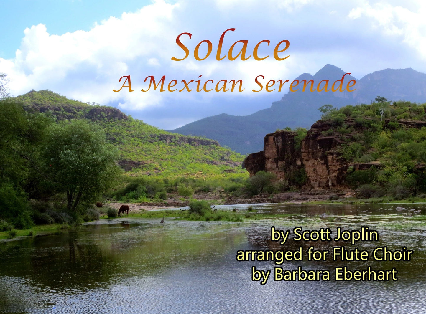 Solace for Flute Choir - Sheet Music Download