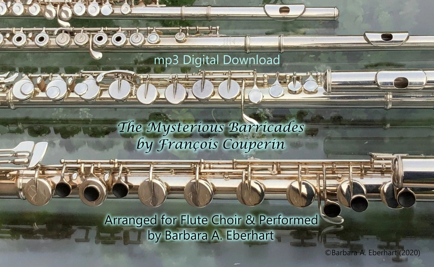 The Mysterious Barricades - Flute Choir mp3 Digital Download