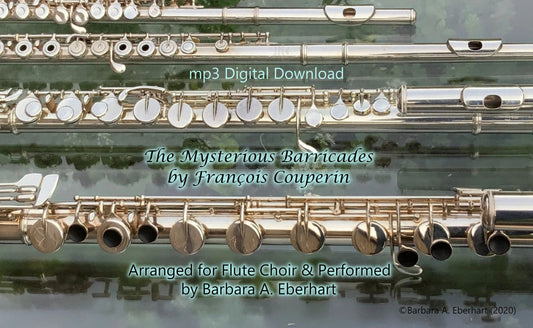 The Mysterious Barricades - Flute Choir mp3 Digital Download