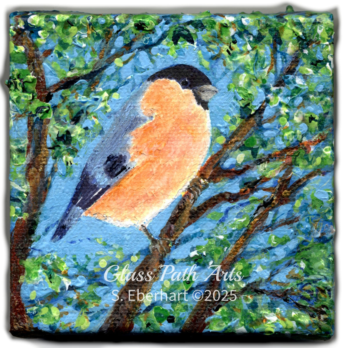 Bullfinch Looking Right - Original Acrylic Painting by Sophia Eberhart