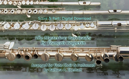 The Mysterious Barricades for Flute Choir - Sheet Music digital download