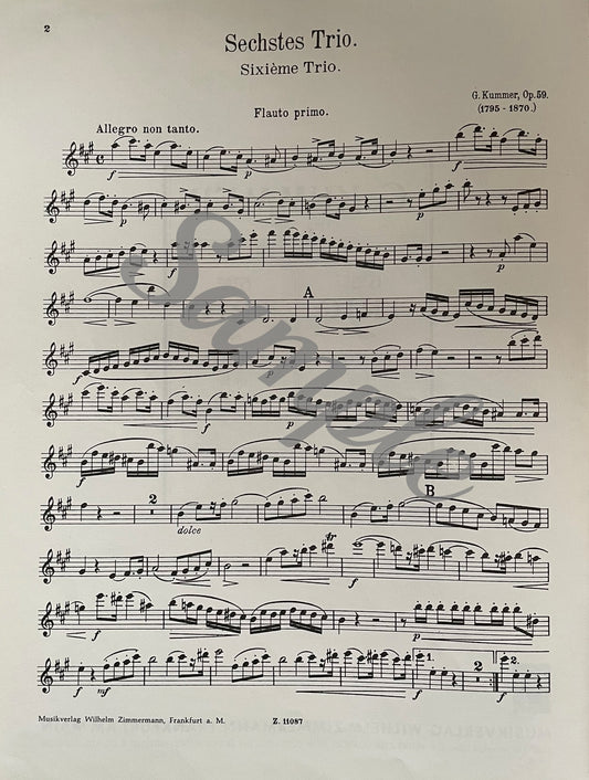 Sixth Trio for 3 Flutes, Opus 59 by G. Kummer