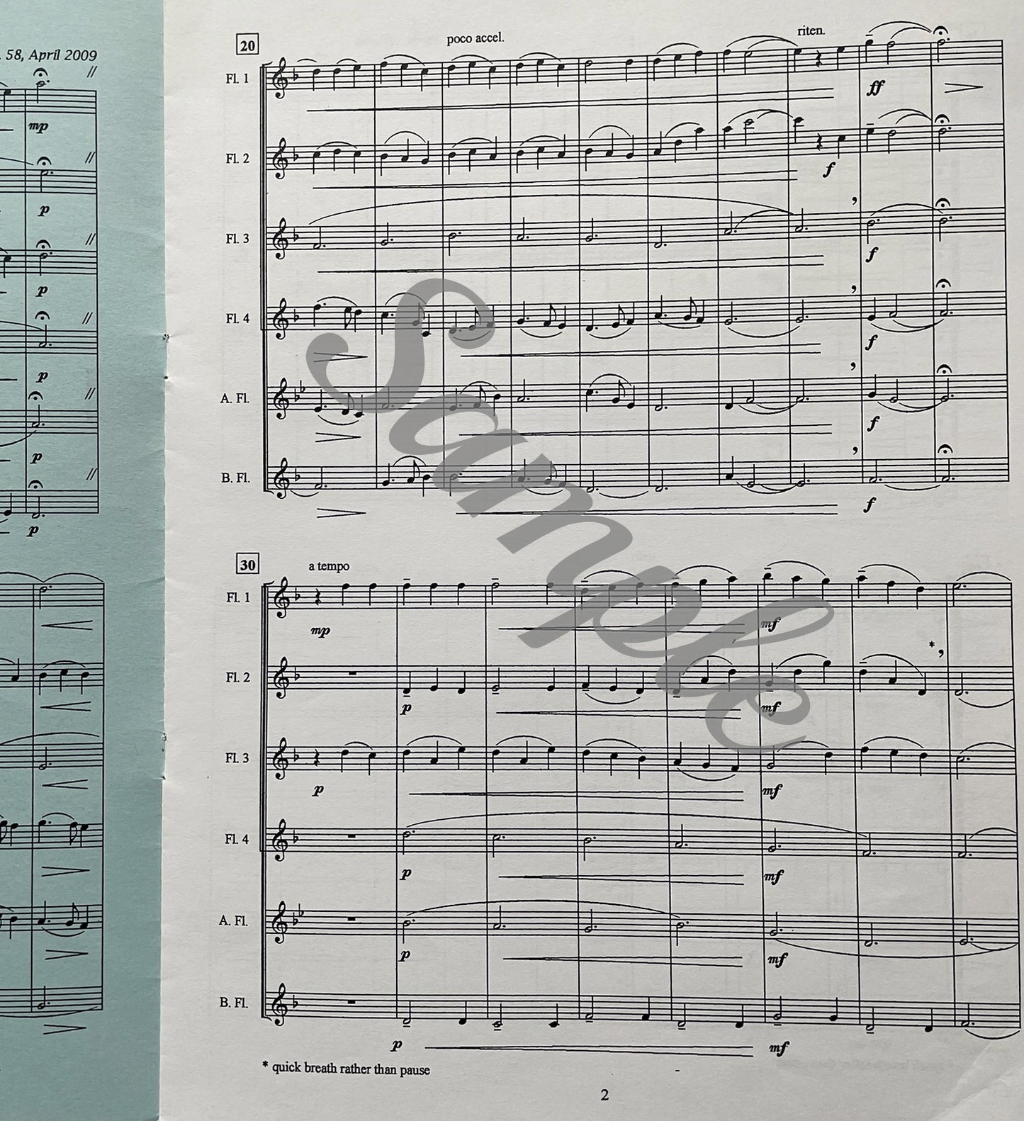 Sky Watch...Looking Inward...for Flute Quartet or Flute Choir by Deborah J. Anderson