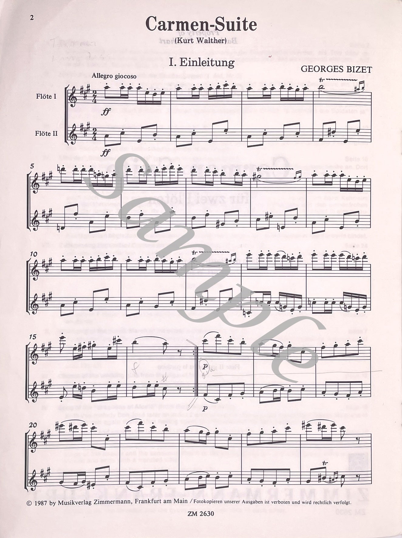Carmen Suite for Two Flutes by Georges Bizet