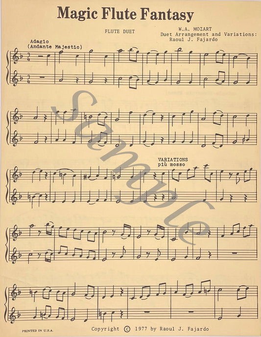 Magic Flute Fantasy by W.A. Mozart