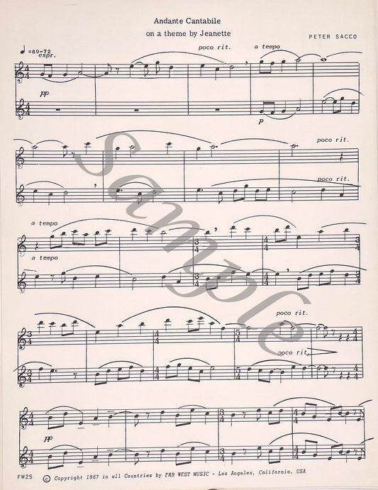 Andante Cantabile Flute Duet by Peter Sacco