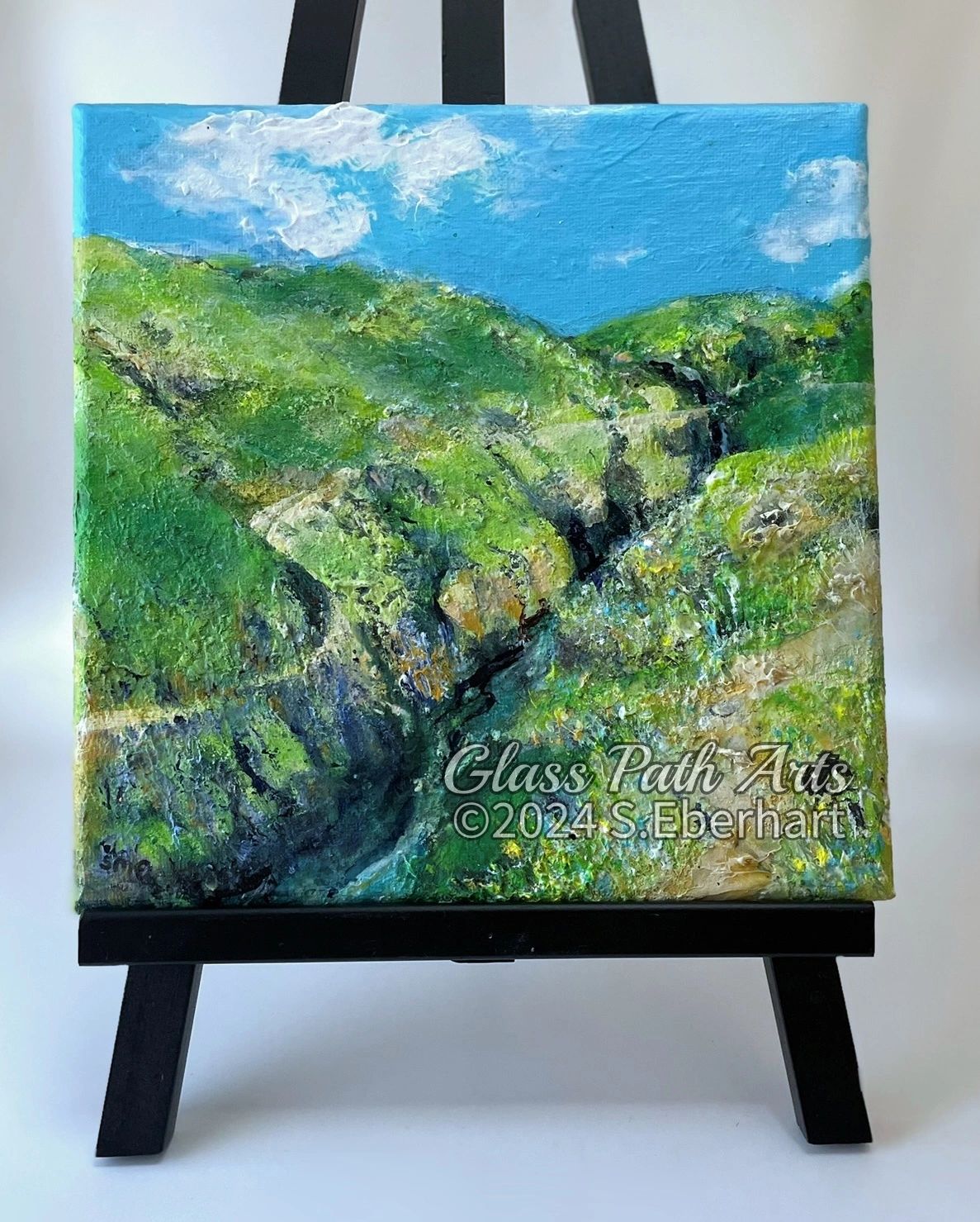 Winding Paths - Original Acrylic Painting by Sophia Eberhart (Free USA Shipping)